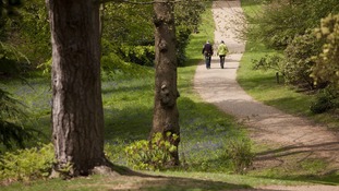 Sparrow Dale, Sheringham Park, Norfolk.