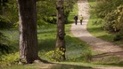 Sparrow Dale, Sheringham Park, Norfolk.