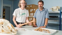 Leg bones of the oldest known northerner