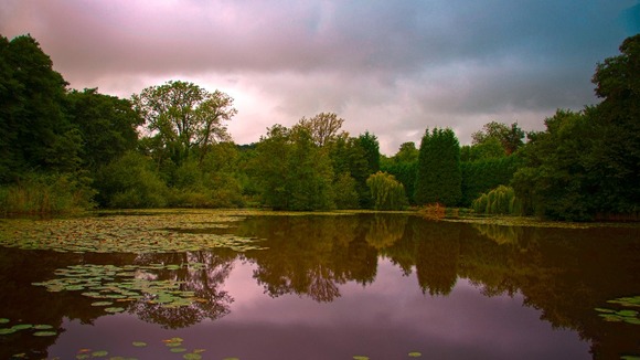Brierley Hill