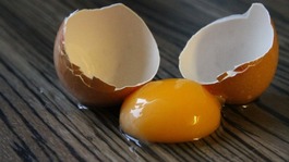 Broken egg