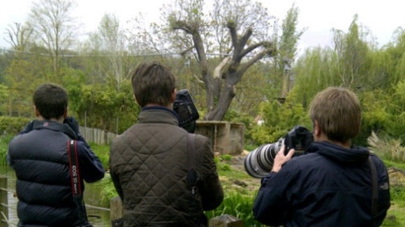 photographers at Bristol Zoo