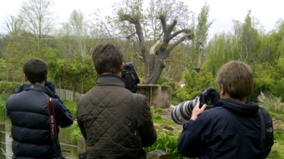 photographers at Bristol Zoo