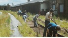 Volunteers at site