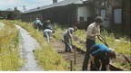 Volunteers at site