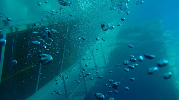 Underwater picture of the Costa Concordia taken in January last year.