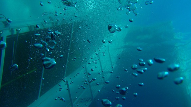Underwater picture of the Costa Concordia taken in January last year.