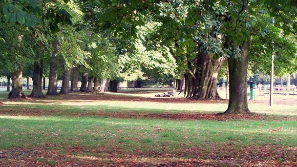 Autumn in Coventry