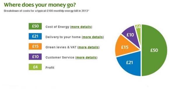 This graphic shows the breakdown of a typical £100 monthly energy bill this year.
