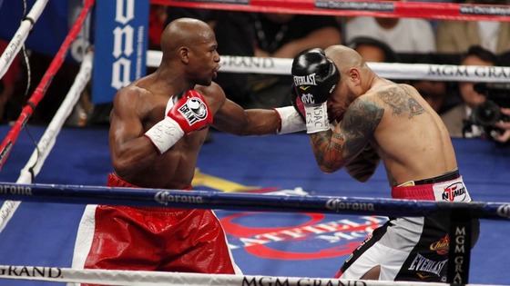 Mayweather Cotto