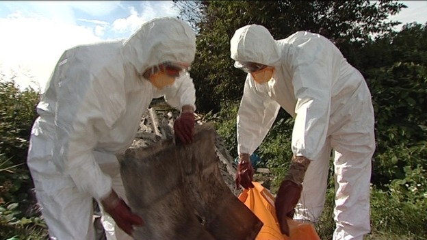 Two men in protective clothing, disposing of asbestos sheeting