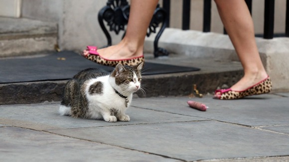 Larry the Downing Street cat sits by a toy outside 10 Downing Street.