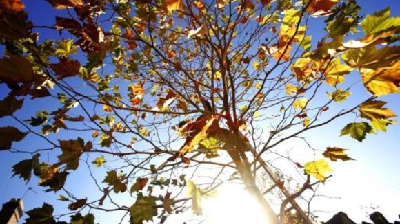 A sunny and dry autumn weekend ahead for us