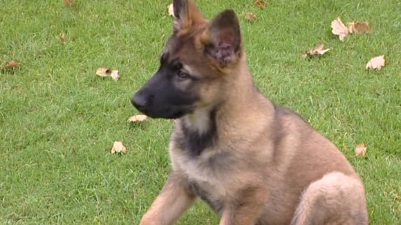Kelly has begun her police training