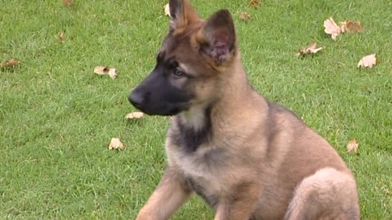 Kelly has begun her police training
