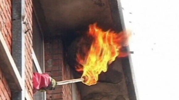 Hornet nest being burned by emergency services. 