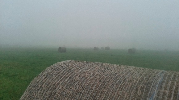 mist over a field in Pye Green