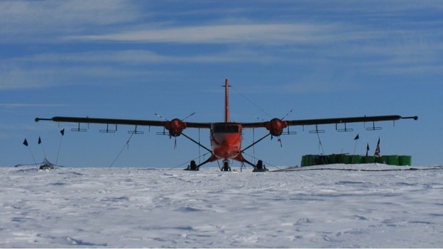 Antarctic