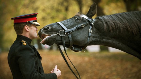 'Goodbye Kiss' by Sgt Adrian Harlen RLC