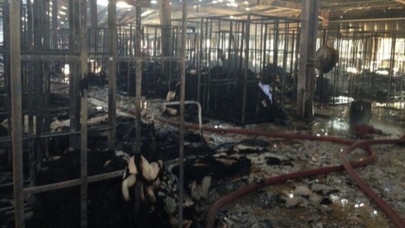 Charred machinery in the gutted remains of the factory