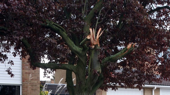 Tornado damage