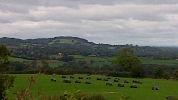 Frankley Fields, Warwickshire