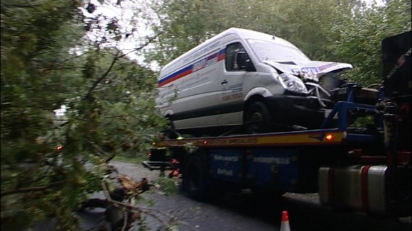 A van driver had a lucky escape after high winds blew down a tree across the A12 in Suffolk.