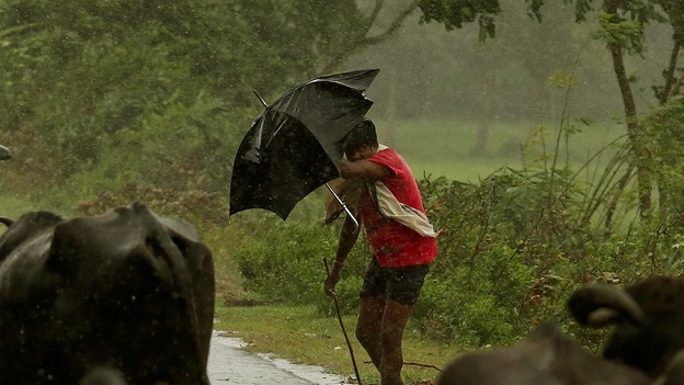 A boy tries to cover himself with an umbrella during heavy rain brought by Cyclone Phailin.