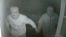 Police have released CCTV images of the burglars 