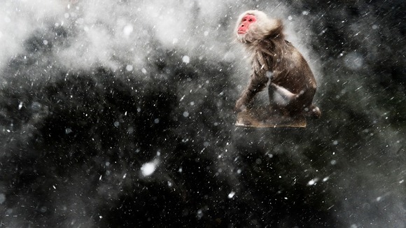 Snow moment