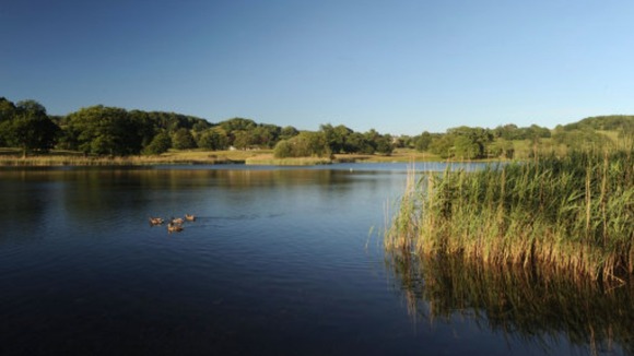 Esthwaite Water