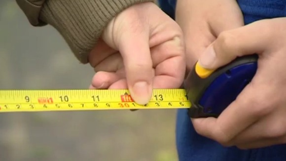 tape measure school