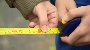 tape measure school