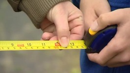 tape measure school