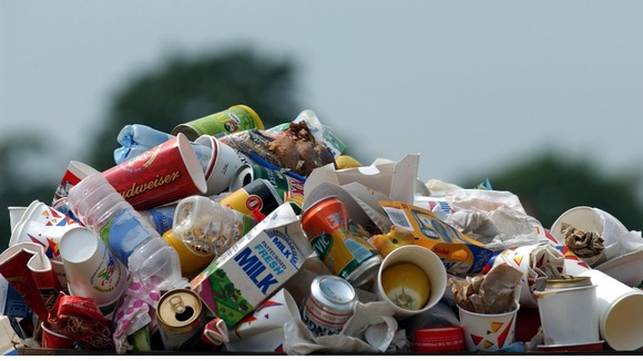 Two thirds of produce grown for bagged salad goes to waste