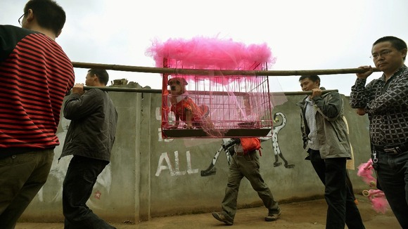 Bride dog "Lanlan" is carried inside a decorated cage
