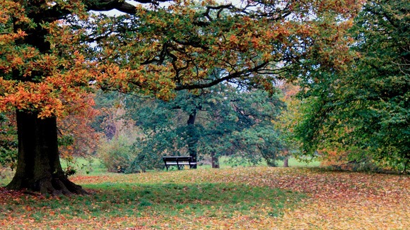 Alfreton Park, Derbyshire