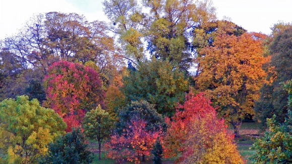Balsall Heath