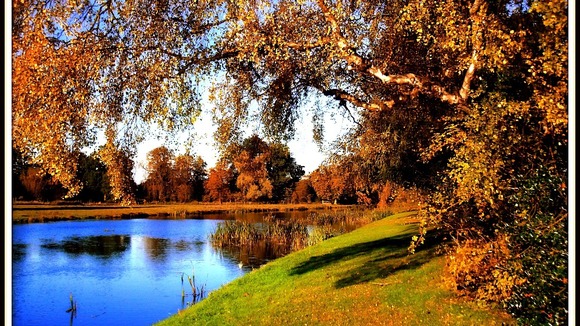 Shugborough Hall, Staffordshire