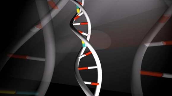 Edinburgh University scientists have been studying a rare childhood disease known as Aicardi-Goutières syndrome.