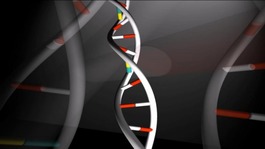 Edinburgh University scientists have been studying a rare childhood disease known as Aicardi-Goutières syndrome.