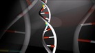 Edinburgh University scientists have been studying a rare childhood disease known as Aicardi-Goutières syndrome.