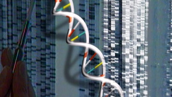 Scientists believe they may have uncovered the most common fault in DNA replication so far.