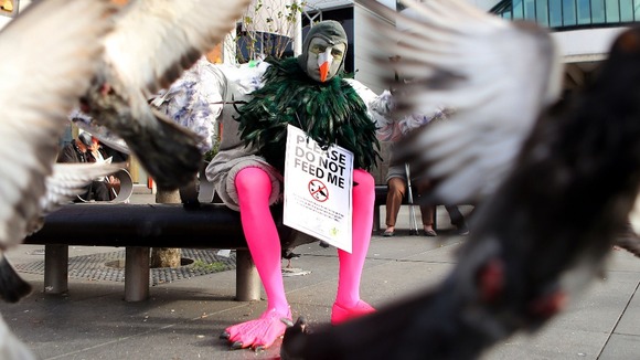 A man dressed as a pigeon in Liverpool city centre to warn of their detrimental affect.