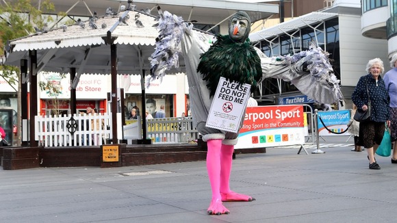 A man dressed as a pigeon in Liverpool city centre to warn of their detrimental affect.