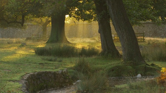 Bradgate Park, Leicestershire