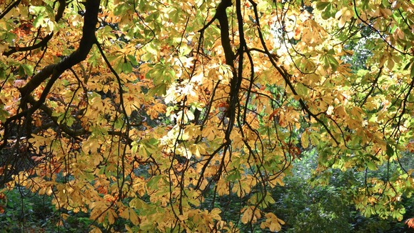 West Park, Long Eaton