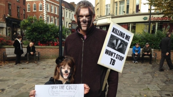 Two protesters 'badger up'