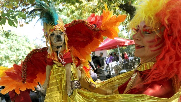 Canine Carnival: A contestant dressed up with her dog participates in the 23rd Annual Tompkins Square Halloween Dog Parade in New York.