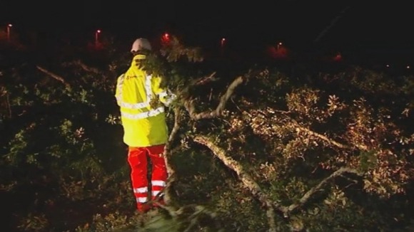 A maintenance worker tries to remove a fallen tree from the road.